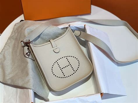 my hermes evelyne bag